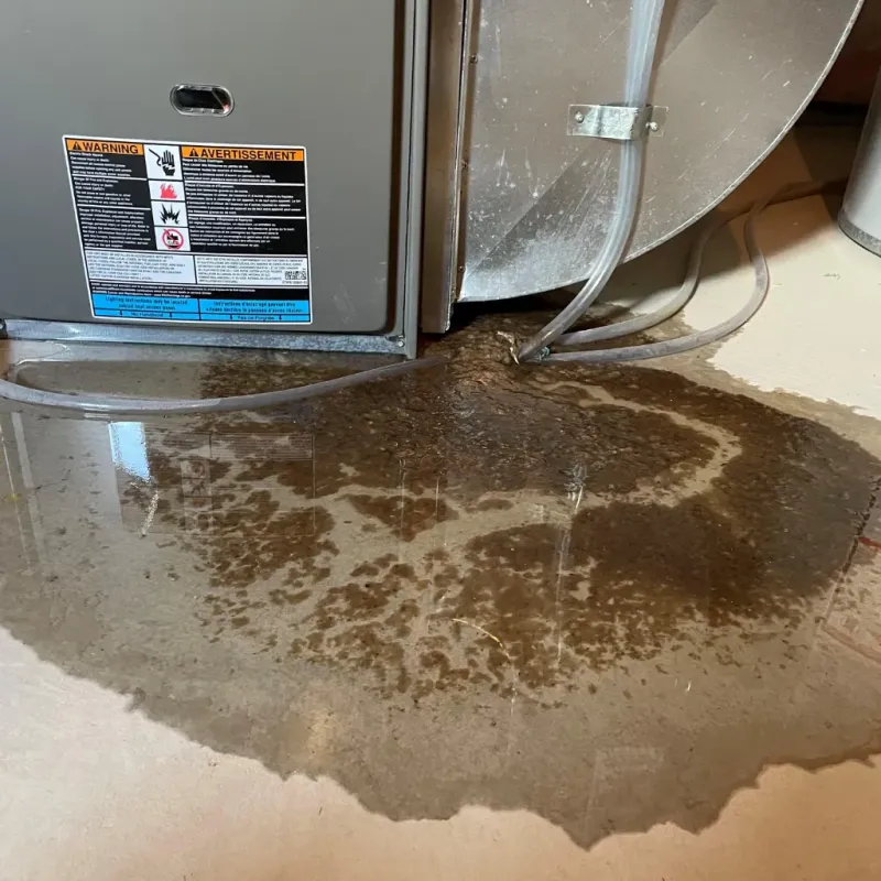 Appliance Leak Cleanup in Greer, SC