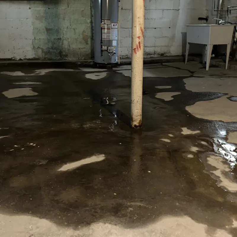 Emergency Water Extraction And Removal in Greer, SC